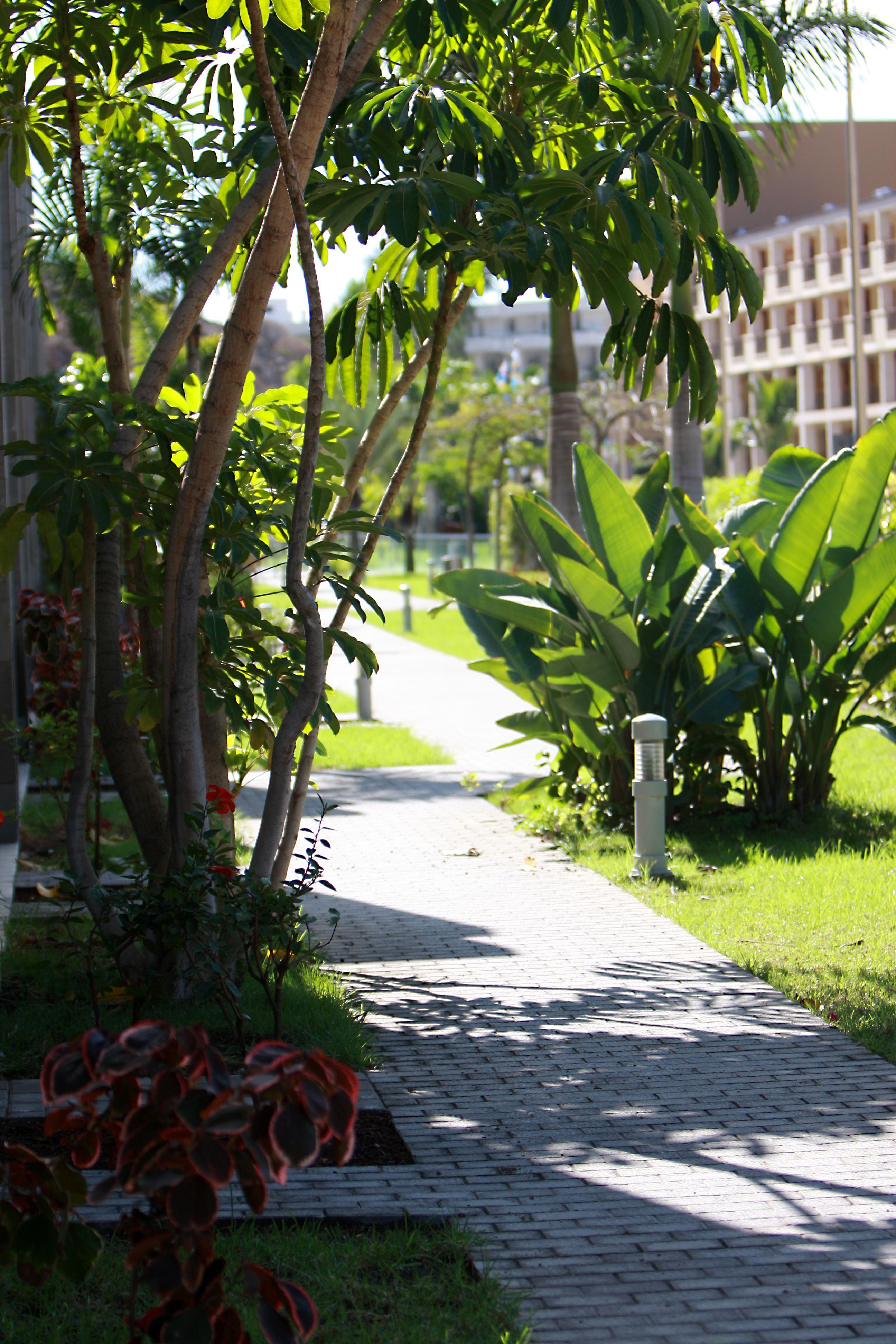 Hotel Livvo Costa Taurito & Aquapark (Adults Only) Exterior photo
